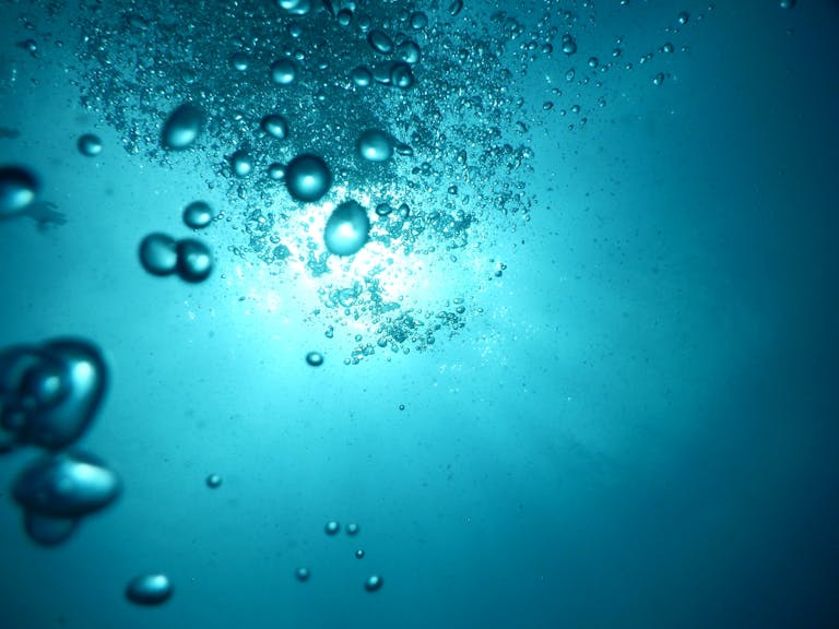 Tranquil underwater scene with bubbles illuminated by sunlight, showcasing peaceful aquatic life.